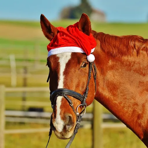 Original All i want for Christmas is you just kidding i want horses santa shirt 2